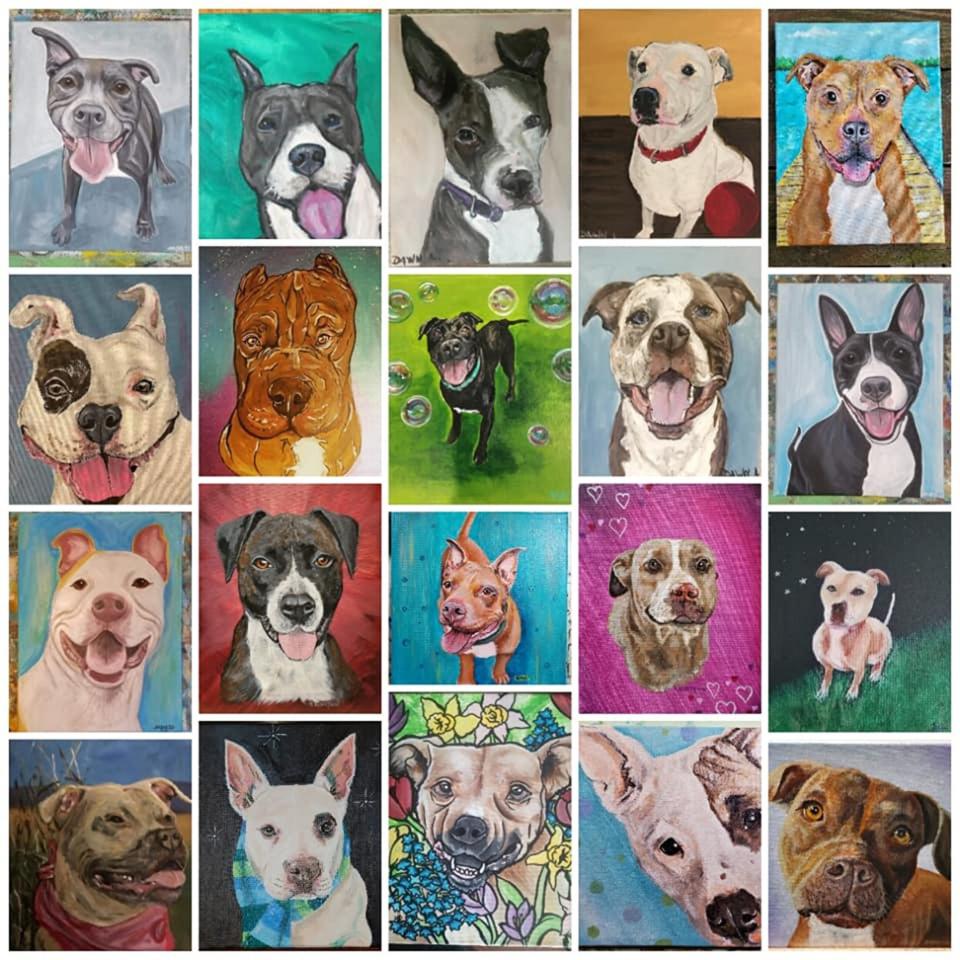 collage of cheddar paws dog art portraits