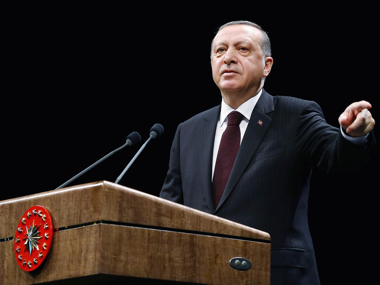 Turkey's President Tayyip Erdogan speaks during a meeting at the Presidential Palace in Ankara, Turkey: Kayhan Ozer/Presidential Palace/Handout via REUTERS