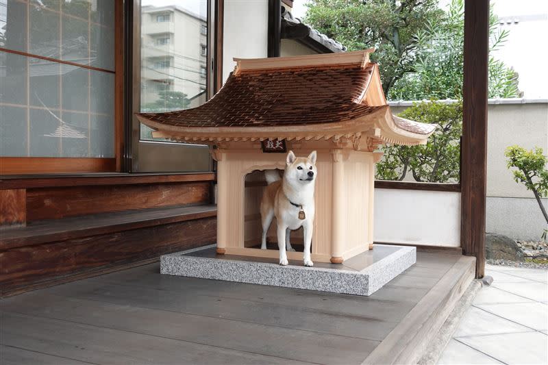 日本一間企業近期推出超奢華狗屋「犬殿」。（圖／翻攝inudono官網）