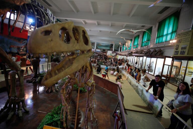 El Museo de Ciencias Naturales no cobra entrada a los menores de seis años