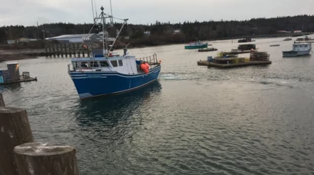 COVID vulnerable industries, like fish processing, are part of reason Charlotte County is vulnerable. (CBC - image credit)