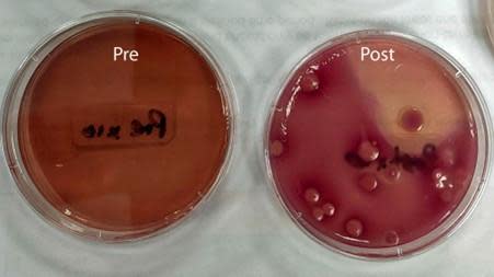 The Northern Echo: Coliform levels pre and post Richmond treatment works.