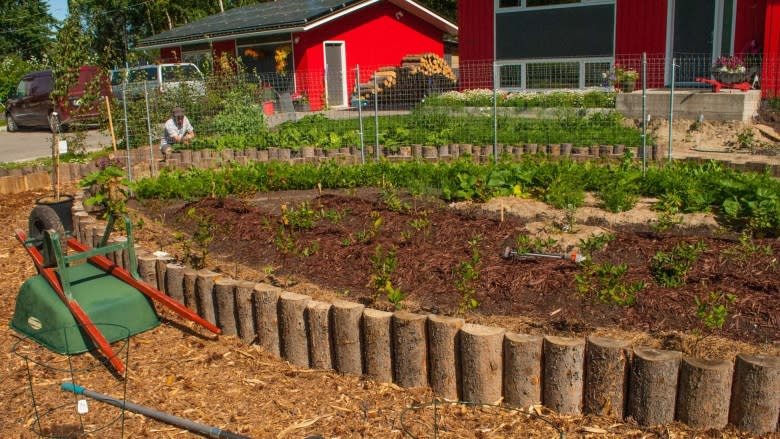 'It's essential': A Yukon green thumb lowers his carbon footprint