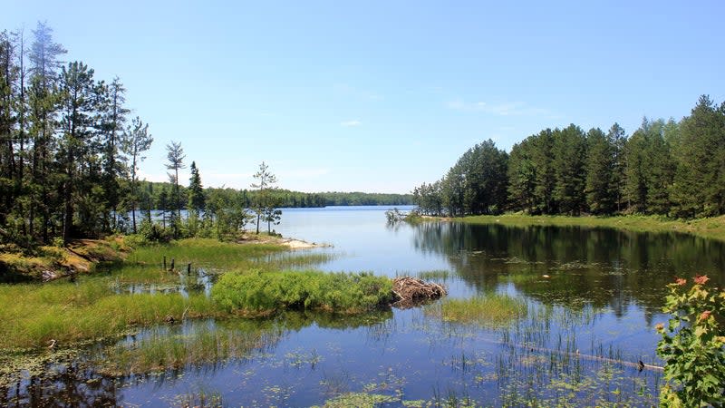 (<a href="https://commons.wikimedia.org/wiki/File:Gfp-minnesota-voyaguers-national-park-cruiser-lake.jpg" rel="nofollow noopener" target="_blank" data-ylk="slk:Yinan Chen;elm:context_link;itc:0;sec:content-canvas" class="link ">Yinan Chen</a>/Public Domain)