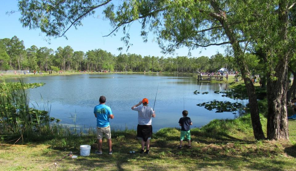 The youth fishing pond at Frank Brown Park is stocked once a year by the Florida Fish and Wildlife Conservation Commission with catfish, bass and bream.