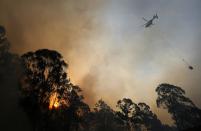 A helicopter carries water to be dropped on a bushfire in Castlereagh, near Sydney September 10, 2013. More than 550 firefighters are working on several bush fires across New South Wales (NSW) that have left one house destroyed and six firefighters injured, according to the NSW Rural Fire Services. (REUTERS/Daniel Munoz)