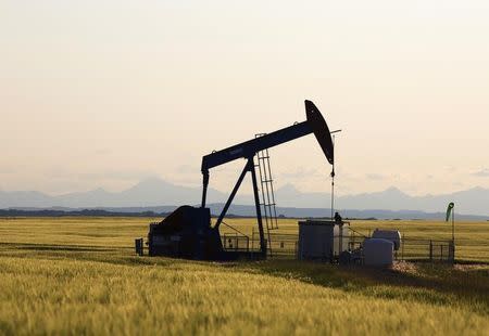 An oil pump jack pumps oil in a field near Calgary, Alberta, July 21, 2014. REUTERS/Todd Korol