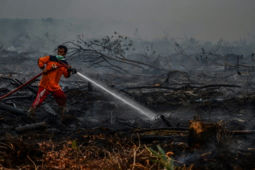 The number of "hotspots" -- areas of intense heat detected by satellite which indicate a high chance of fire -- have jumped sharply in Indonesia