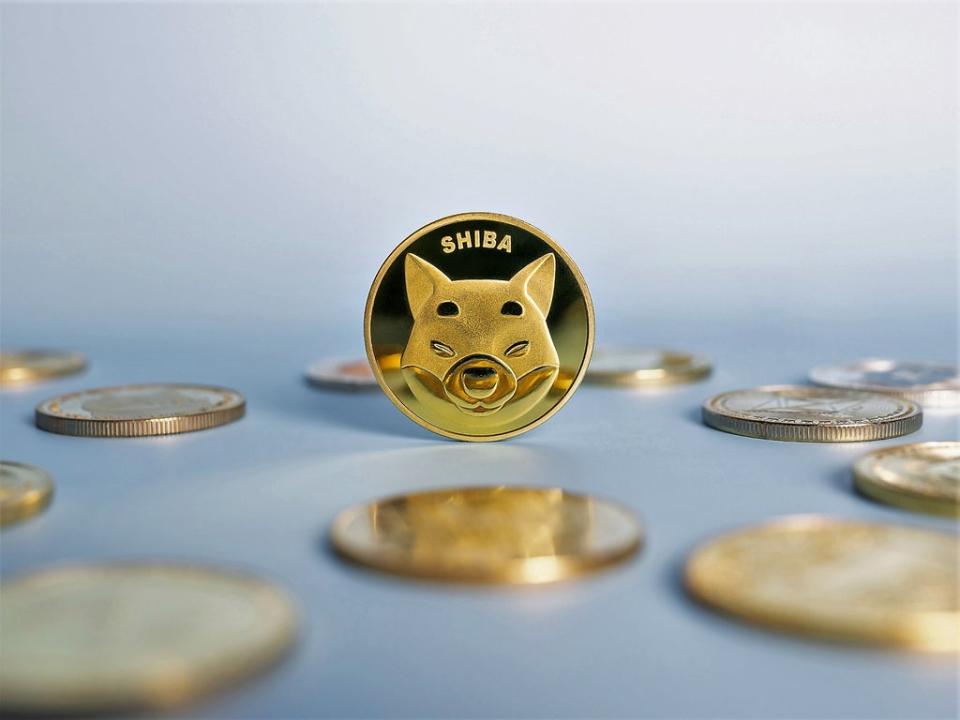 Shiba Inu coin is one of several meme coins to have seen astonishing price gains in 2021 (Getty Images)