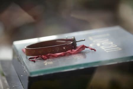 A collar is placed on the tomb of pet dog Logan at Baifu pet cemetery ahead of the Qingming Festival on the out skirts of Beijing, China March 26, 2016. REUTERS/Jason Lee