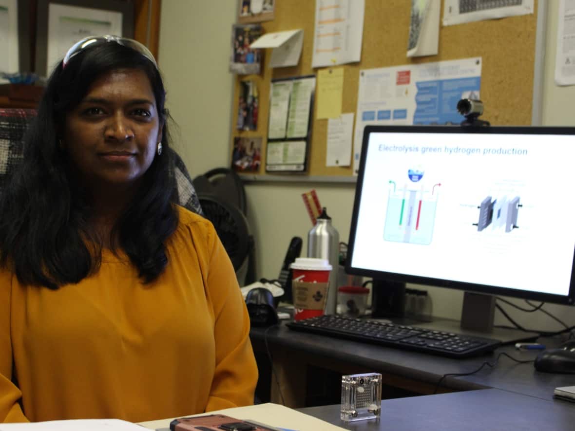 Mita Dasog says her lab is working on different aspects of green hydrogen production, from improving electrolysis to developing alternative technologies. (Moira Donovan - image credit)