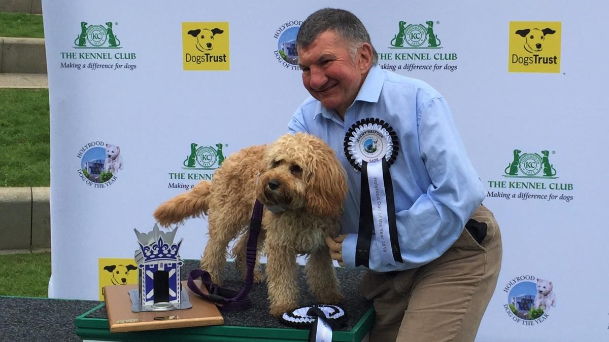 Cavapoo puppy named Holyrood dog of the year