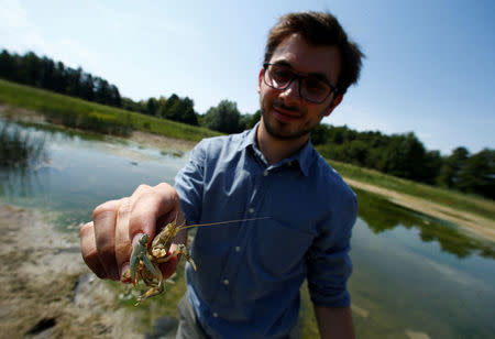 Andreas Stephan of the Karlsruhe University of Education holds calico crayfish (Orconectes immunis) in Rheinstetten, Germany, August 9, 2018. The University of Education examines the habitat conditions of the calico crayfish in southwest Germany. REUTERS/Ralph Orlowski