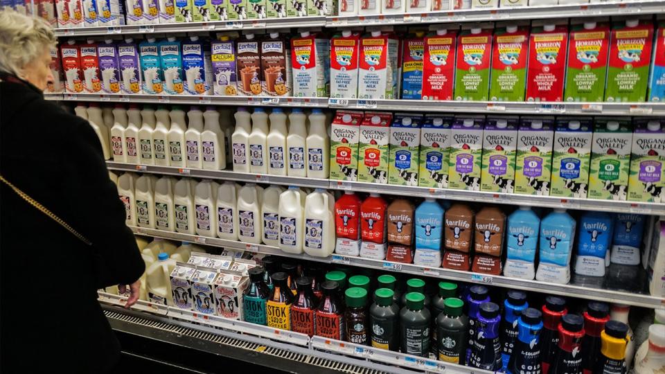 Milk options at a grocery store