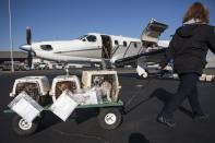 Dogs from the Front Street Animal Shelter in Sacramento, California, are loaded for a flight of 50 dogs to a no-kill shelter in Idaho, December 9, 2013. Picture taken December 9, 2013. REUTERS/Max Whittaker (UNITED STATES - Tags: ANIMALS SOCIETY)