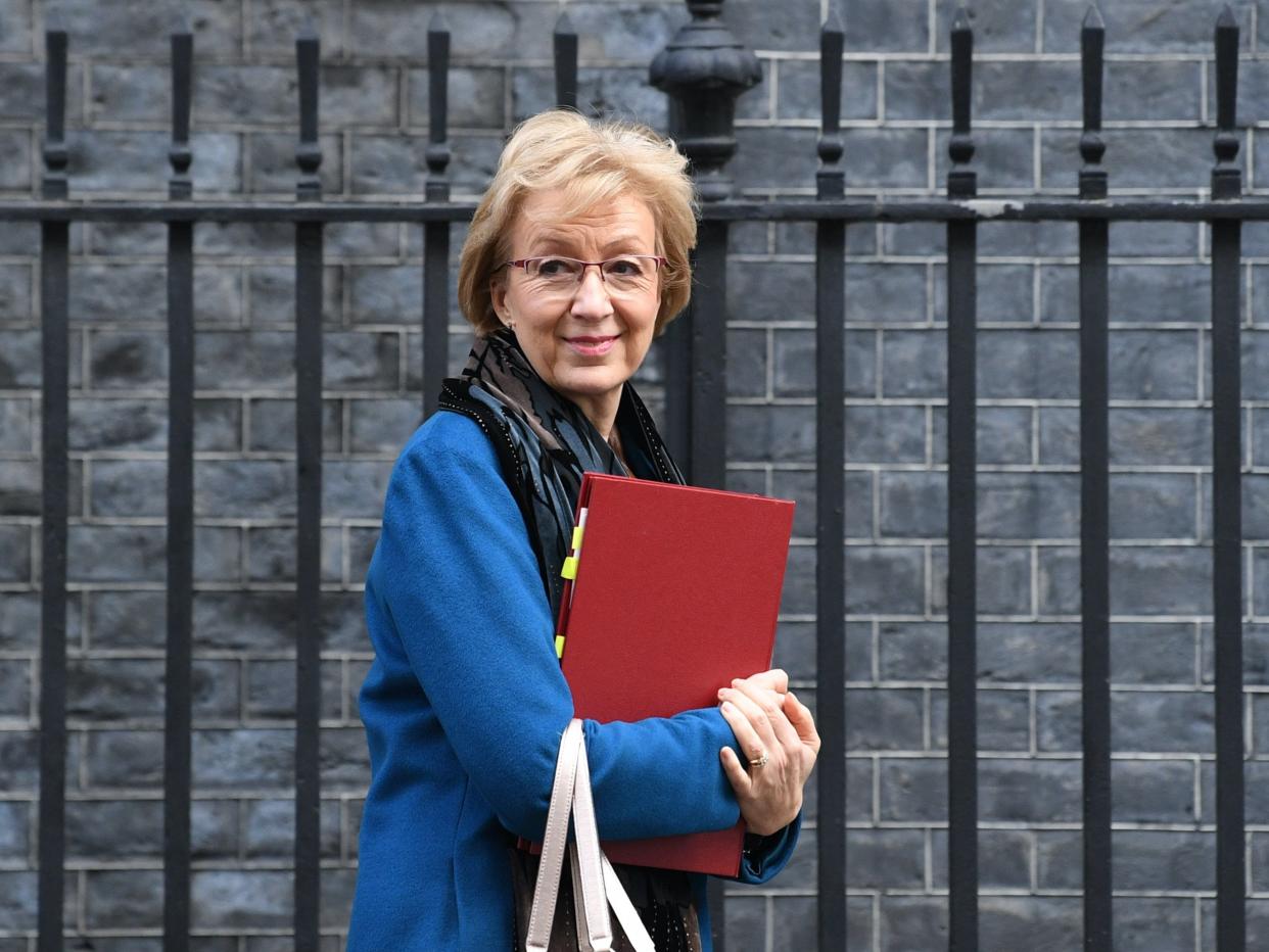 Former business secretary Andrea Leadsom given damehood (PA)