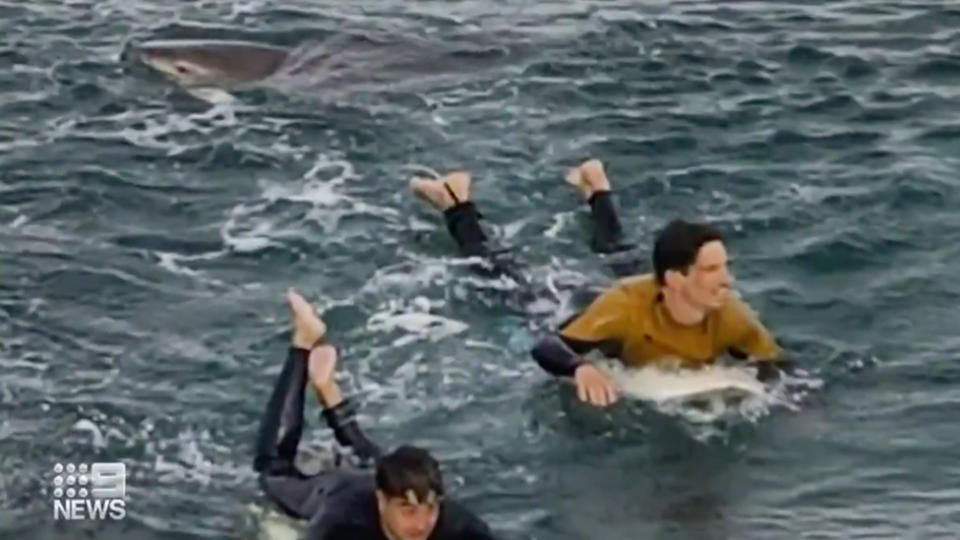 Dylan Nacass (black wetsuit) was attacked by a shark and helped by Torquay local Matt Sedunary. Source: Nine News