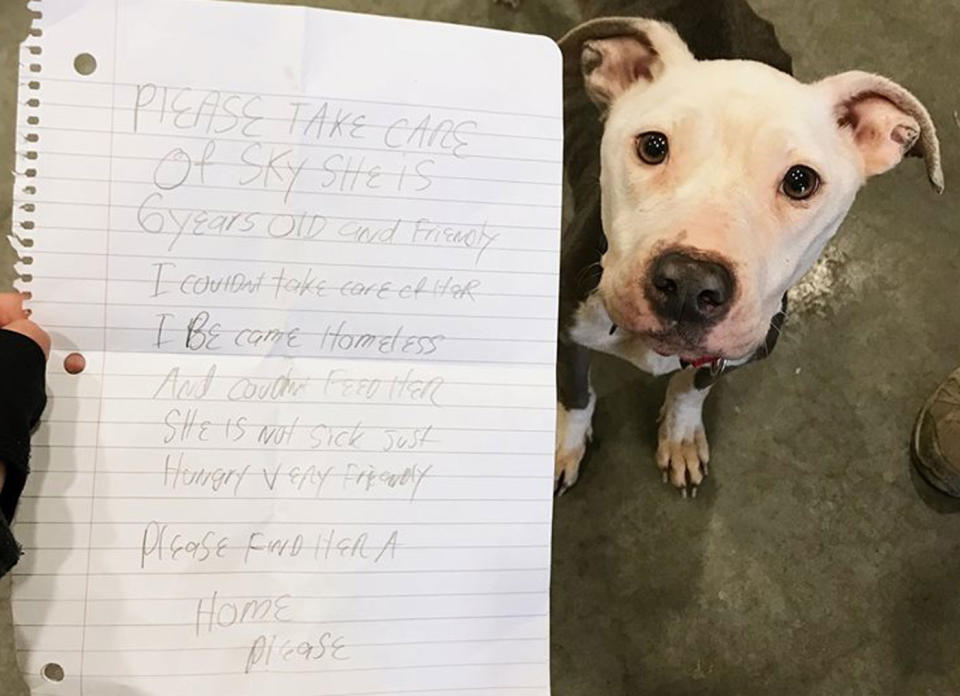 The note claims the owner became homeless and couldn’t care for the dog. Source: Facebook/ Delaware Humane Association