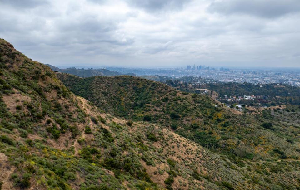 The rolling hills of Griffith Park under cloudy skies, with the downtown Los Angeles skyline in the distance.