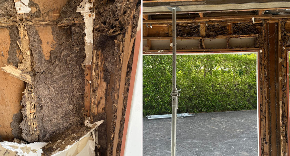 Termite damage at Queensland property. 