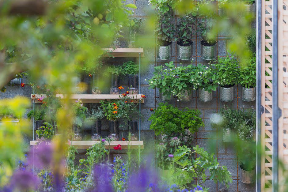 <p>We already know about the vertical planting trend – it's perfect for small space gardening, which impacts those living in city and urban areas. But at Chelsea this year, we've seen this trend develop with more structure and texture. </p><p>'We are now familiar with suspended green or living floral walls, but many gardens displayed methods of achieving vertical planting by using tiered structures, often made from building materials or cleverly designed intersectional planting,' explains Jonathan. 'Green walls are flat and relatively two dimensional but the vertical planting on display at the show was full of depth and interest. </p><p>'This way of vertical planting is perfect for small space gardening and can be a trend which will prove useful as our space within our towns and cities become more scarce as new build housing often has small gardens, so here the answer is to go up rather than out with the plants. The Lemon Tree Trust Garden displayed some innovative ways of achieving vertical planting.'</p>