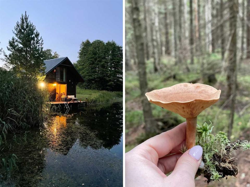 Side by side images of a cabin on a pond and a hand holding a mushroom in the forest.