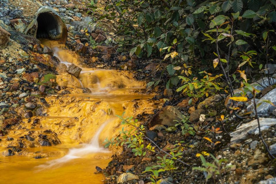 Drainage from Canada’s abandoned Tulsequah Chief Mine, which has been contaminating the transboundary Taku River for more than 65 years. The Taku, a vital wild salmon river, empties into the ocean just south of Alaska’s capital.