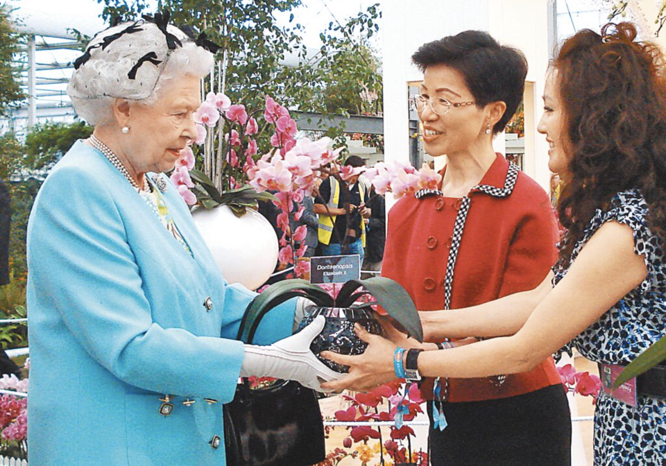 英女王伊麗莎白二世（左）2011年參觀切爾西花展台灣攤位，駐英代表張小月（中）將以女王名Elizabeth II命名的新品種蝴蝶蘭致贈女王，該株新品種蘭花，粉紅與檸檬黃混搭的花瓣別出新裁，全世界目前僅此一株，令女王十分驚喜。（駐英代表處提供）