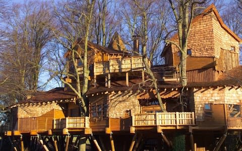 Alnwick Treehouse, Northumberland - Credit: Alnwick Treehouse