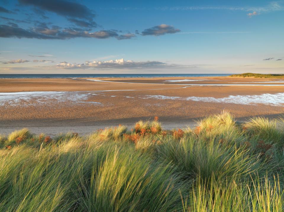 The beach at Holkham - getty