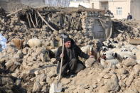 <strong>Quakes ravage Turkey, the Caribbean:</strong> A man watches sheep in an area of collapsed stable building after a magnitude 5.9 earthquake struck near the border with Iran, in Ozpinar neighbourhood of Baskale district in eastern Van province of Turkey on February 24, 2020. Dozens of people were killed in the quake. In the Caribbean too, a temblor caused massive damage to life and property.