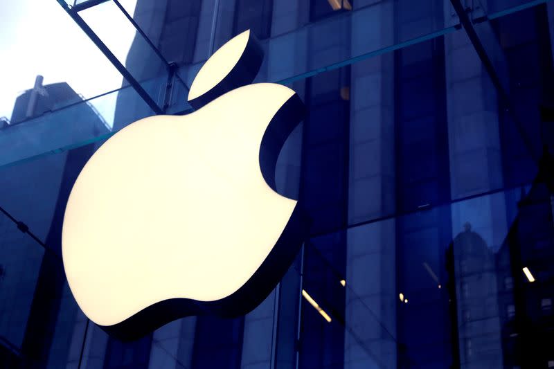 FILE PHOTO: The Apple Inc logo is seen hanging at the entrance to the Apple store on 5th Avenue in New York