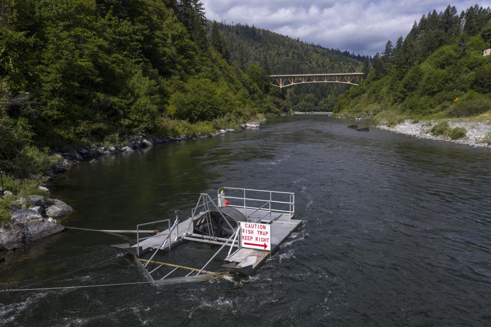 A fish trap used to catch and document the health of salmon floats in the lower Klamath River on Tuesday, June 8, 2021, in Weitchpec, Calif. Native American tribes along the 257-mile-long river are watching helplessly as fish species hover closer to extinction because of lower water levels caused by the historic drought. (AP Photo/Nathan Howard)