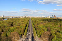 <p>Für einen Meter Zaun bezahlte das Bezirksamt Berlin-Mitte am Tiergarten 581 Euro – insgesamt wurden 64.000 Euro ausgegeben. Begründung: Die Zäune sollten sich in das historische Bild eingliedern. (Bild: ddp) </p>