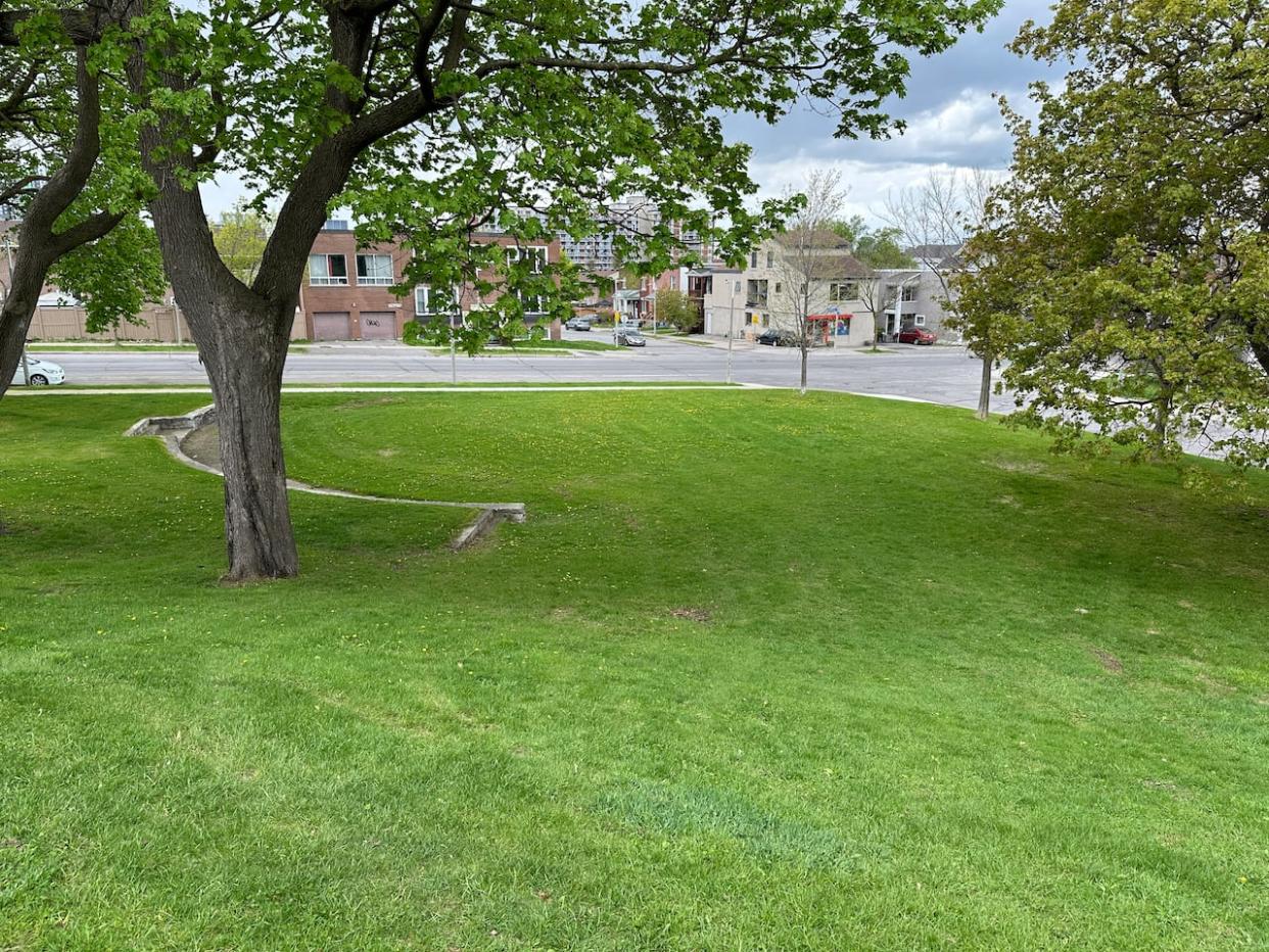 A group of Irish Ottawans is seeking city council's approval to install a monument inside Macdonald Gardens Park in Lowertown to honour those who fled the Irish famine and then died in Ottawa. They say some of those people's remains are still buried in this northwest corner of the park.   (Guy Quenneville/CBC - image credit)