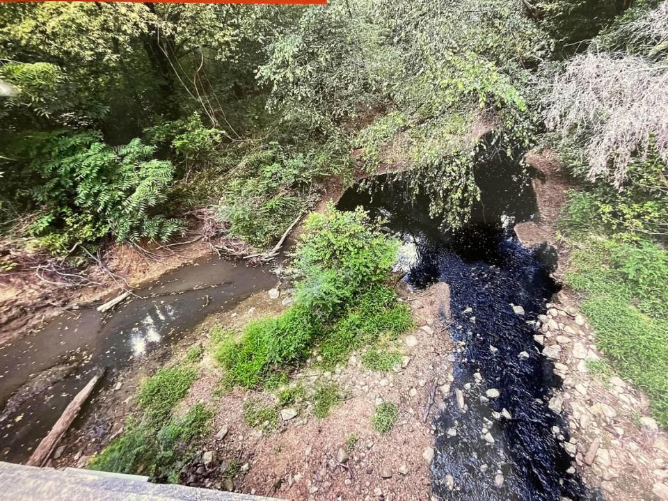 A creek near a pet food plant in Saluda County turned black in the summer of 2023