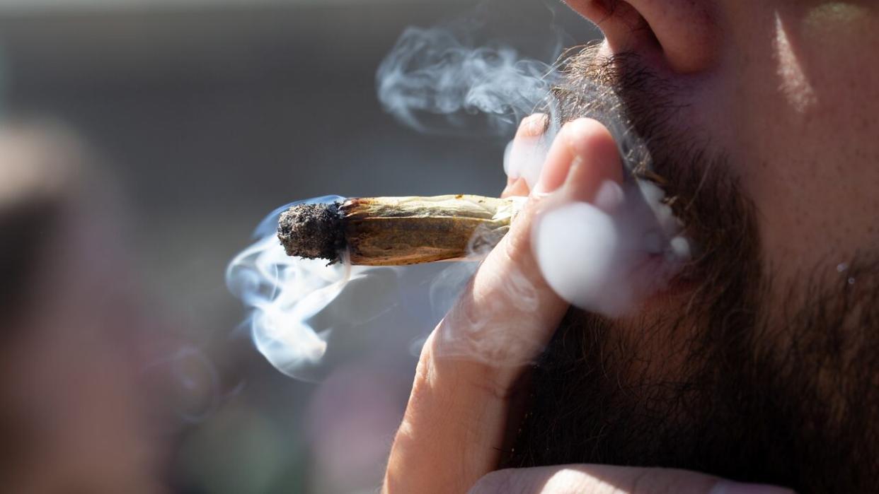 The province has appointed a panel of experts to review research on how cannabis affects the brains of people under 25. (David Donnelly/CBC - image credit)