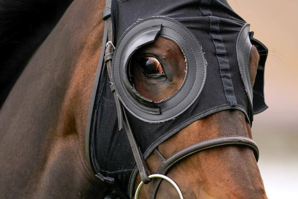 <p>A runner wearing blinkers at Brighton racecourse. Picture date: Tuesday June 22, 2021.</p>

