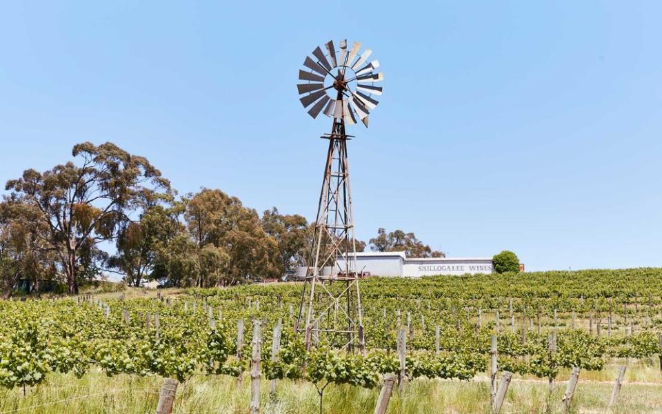 Skillogalee, a winery and restaurant in the Clare Valley, | John Laurie
