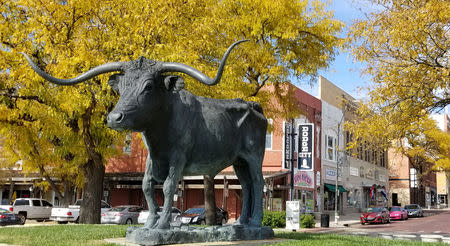 A statue of a longhorn steer adorns a park in downtown Dodge City, Kansas, U.S. October 26, 2018. REUTERS/John Whitesides