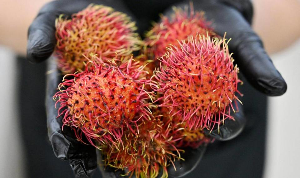 Tropical fruit like rambutan are sold at Nubchi Thao’s new market TBL Asian Market. located along Clovis Avenue south of Ashlan Avenue. Popularly known as The Brioche Lady, Thao is building a bakery in back of the market with the brioche returning at some point, she said. Photographed Thursday, June 22, 2023.