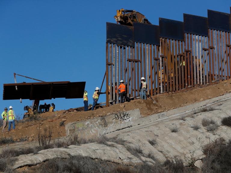 US National Butterfly Centre to be bulldozed to make way for Trump border wall with Mexico