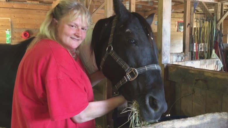 2 zonkeys, 1 horse diagnosed with botulism at Equine rescue