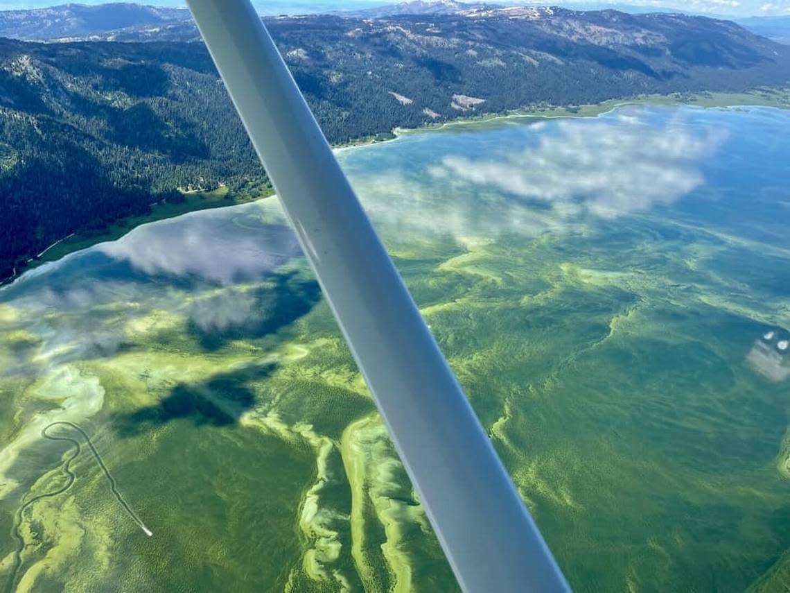 Idaho is used to dealing with cyanobacteria-caused blooms every summer, especially at Lake Cascade. A Department of Environmental Quality scientist said it’s been present there every year since the 1970s.