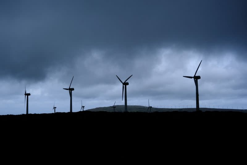 FILE PHOTO: Power-generating windmill turbines are pictured at a wind park in the Serra da Capelada