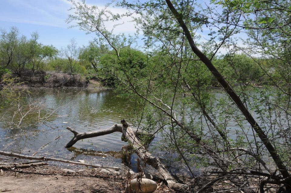 A restored section of the Salt River flows through the Rio Salado Habitat Restoration Area in Phoenix.