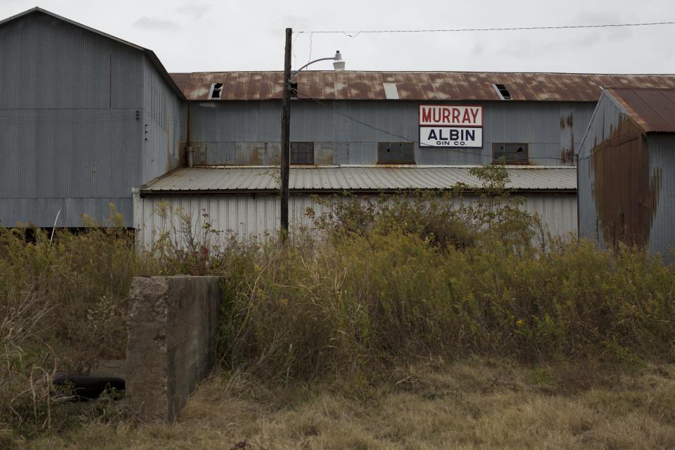 The Wider Image: The Legacy of "King Cotton" in the American South