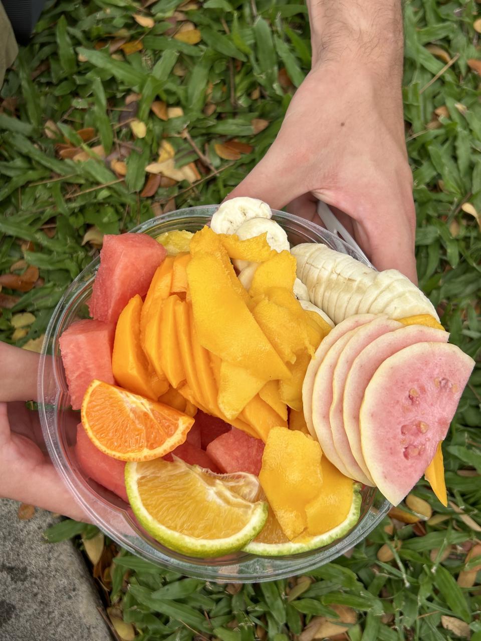 Bowl of assorted fruit slices held over grass with leaves