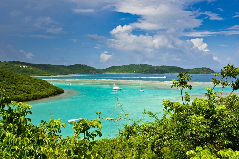 View of turquoise water and greenery at Culebra Island, Puerto Rico