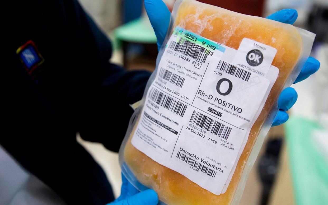 A laboratory technician shows a bag of frozen blood plasma from a donor - JAIME REINA/AFP